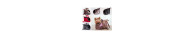 Borse Porta Chien