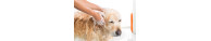 Shampooings, Après-shampooings et Lotions