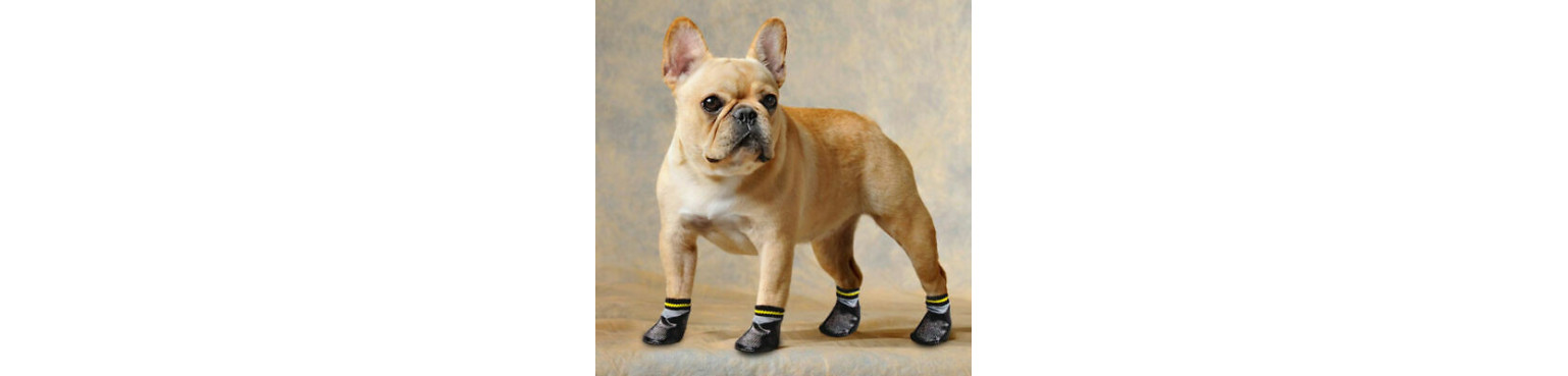 Acquista migliori SCARPE E CALZE Le calze antiscivolo per cani Camon, in cotone e lattice con suola in gomma, uniscono moda e comfort.
