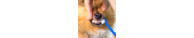Igiene Orale Cani