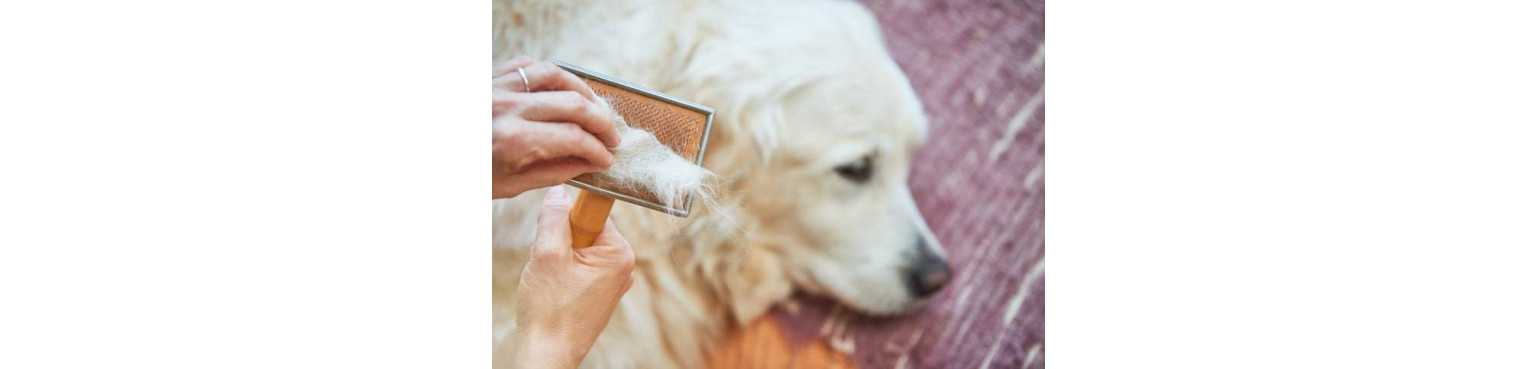 Brosses et Peignes | ParafarmaciaPet