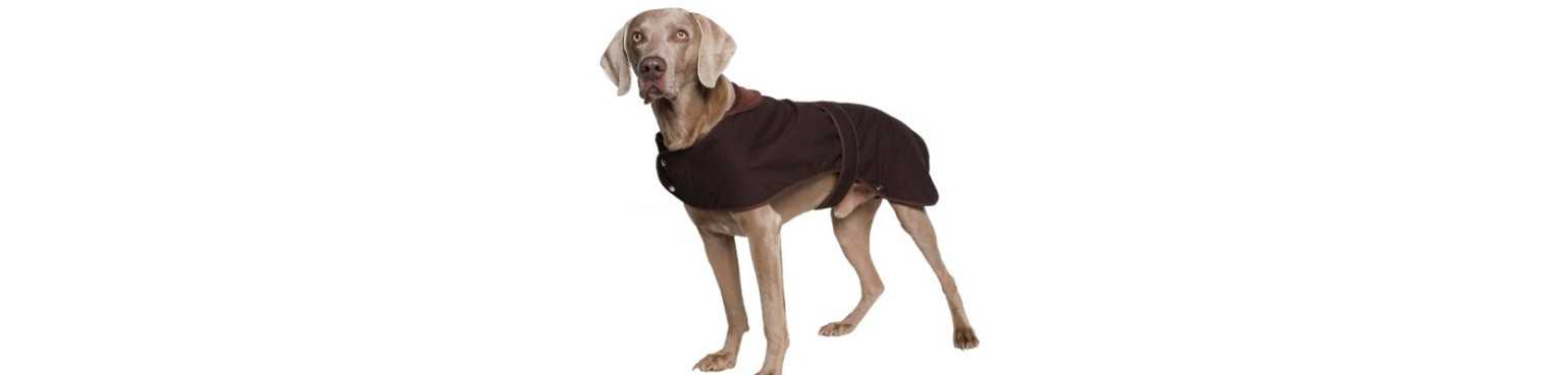 Cappottini e Impermeabili Chien | ParafarmaciaPet