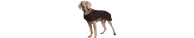 Cappottini e Impermeabili Chien