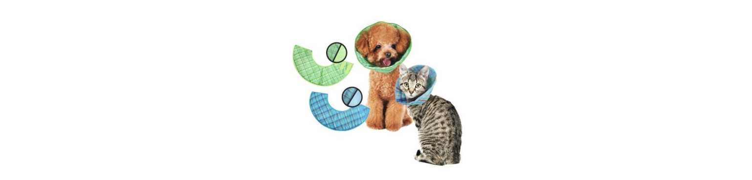 Attrezzature e Medicali Chats | ParafarmaciaPet