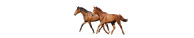 Chevaux
