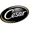 CESAR