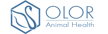 OLOR ANIMAL HEALTH